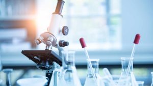 What Should You Look for When Choosing a Genetics Company