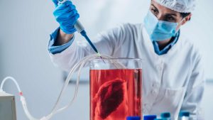 Why Is London Emerging as a Leader in Lab Grown Meat Innovation