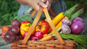 Can Frozen Food Distributors Support Special Dietary Needs Like Halal, Vegan, or Gluten-Free