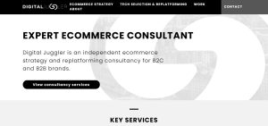 Digital Juggler (James Gurd)