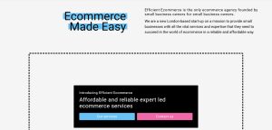 Efficient Ecommerce