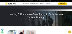 Pearl Lemon Consulting