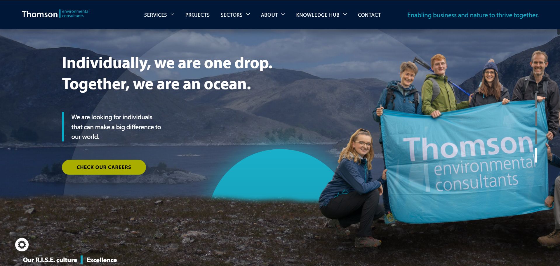 Thomson Environmental Consultants