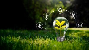 What Do Environmental Consulting Companies in London Actually Do