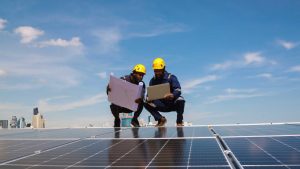 What Role Do These Firms Play in Offshore and Coastal Projects