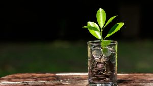 What Role Does Regulation and Policy Play in Ethical Investment Growth