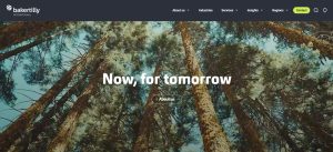 Baker Tilly International