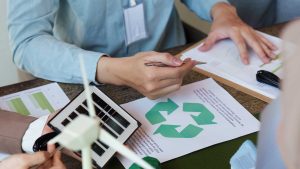 What Should UK Businesses Consider When Choosing a Sustainability Consultant