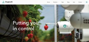 Dogtooth Technologies